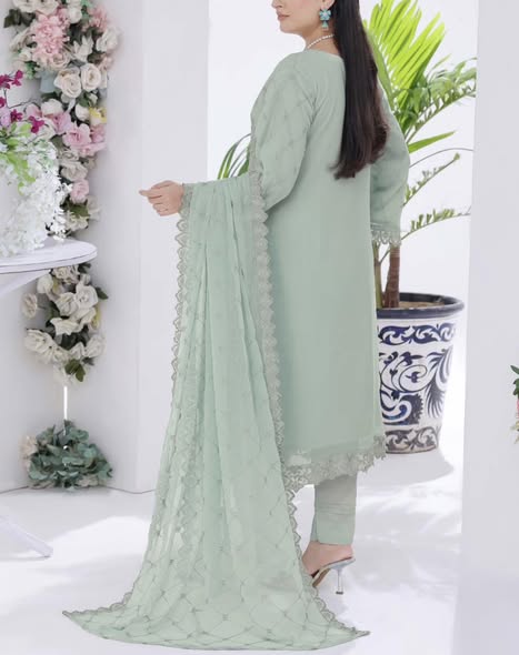 Mint Chiffon Embroidered Suit